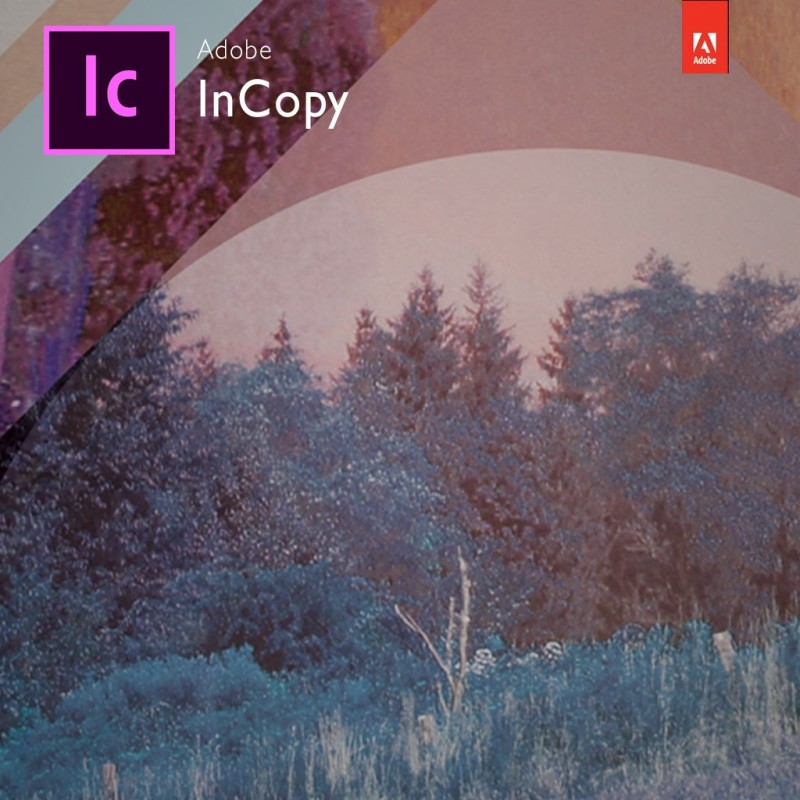 InCopy CC