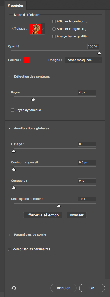 Selectionner et masquer photoshop