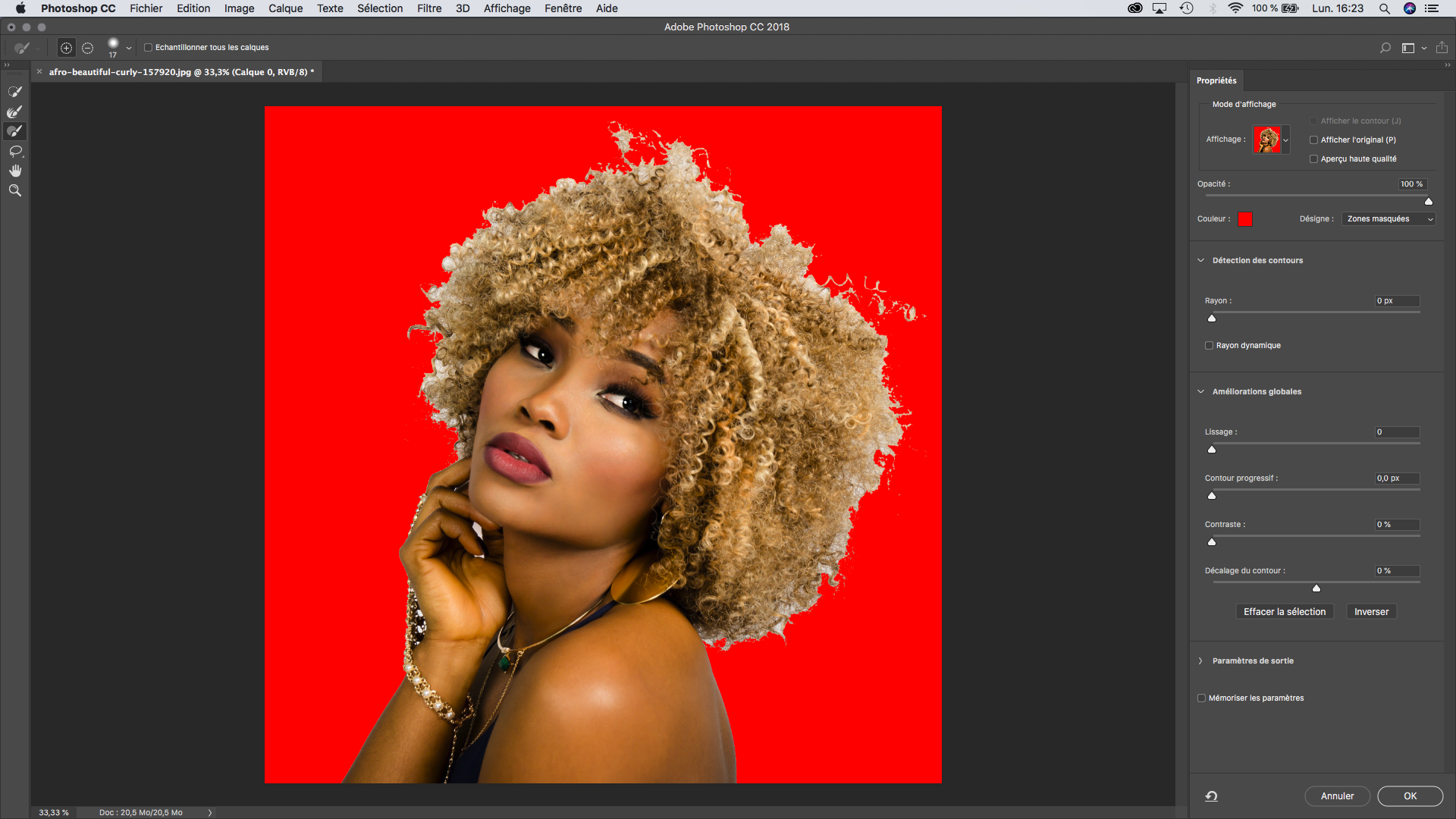 Selectionner et masquer photoshop