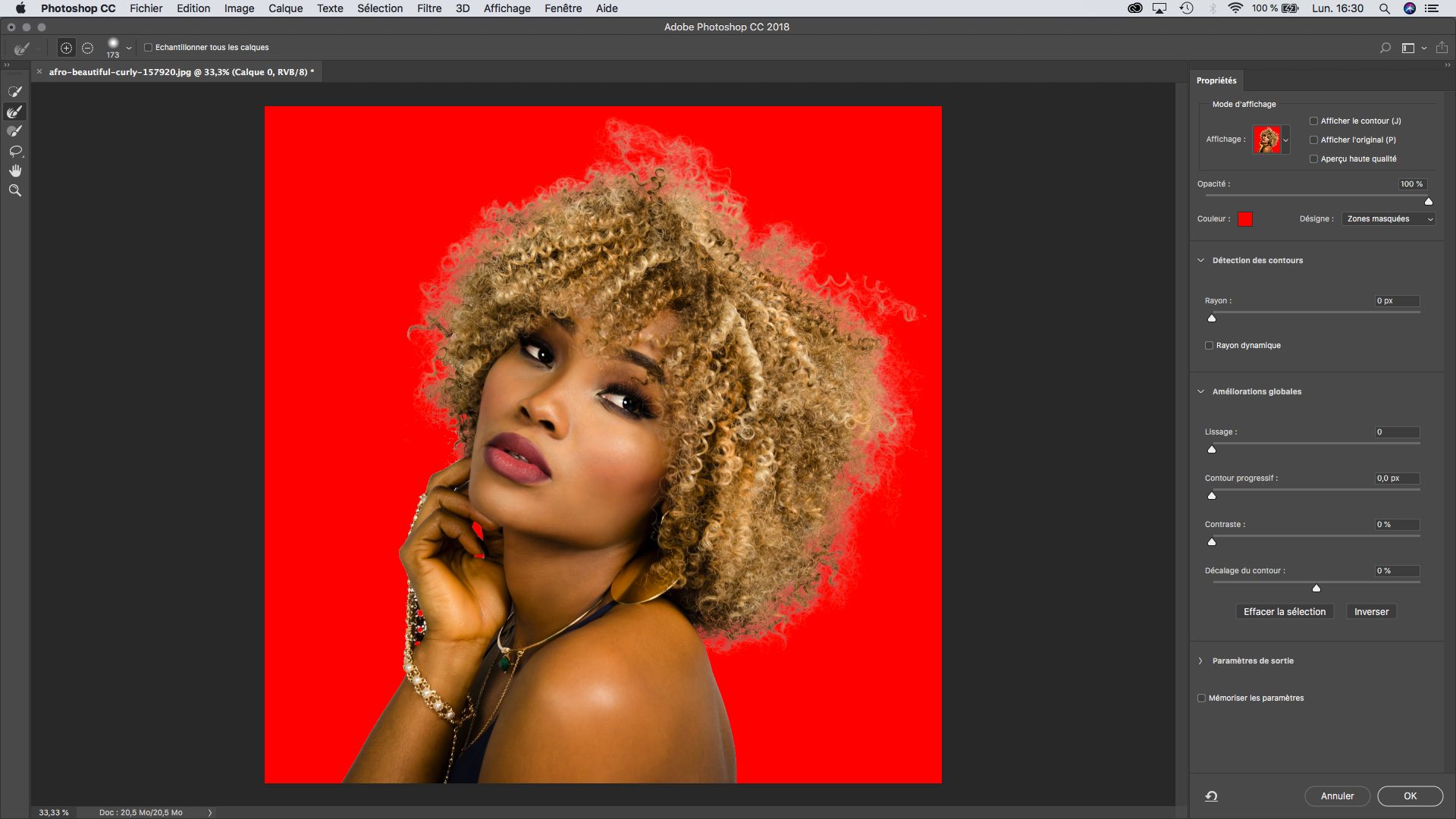 Selectionner et masquer photoshop